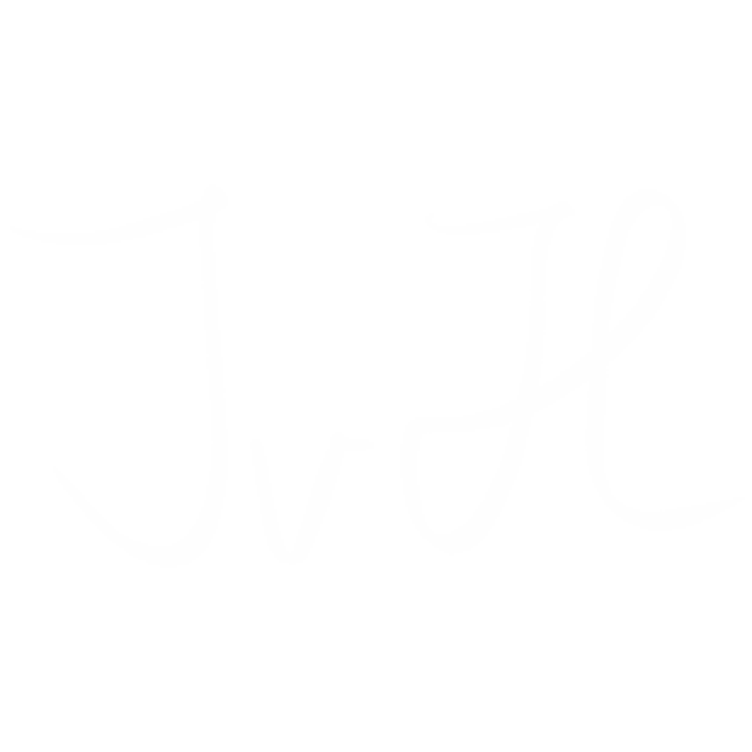 light logo
